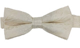 Bow Tie & Pocket Square, Paisley, Ivory