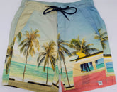 mens retro van boardie