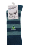 Striped sock with Humphrey Law label on a white background