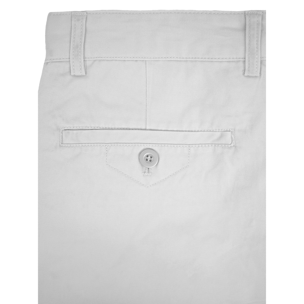 Ledger Cotton Chino Shorts Silver