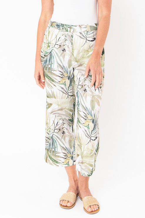 Jump Havana Palms Pant