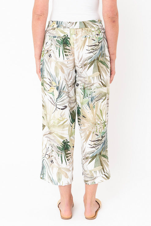 Jump Havana Palms Pant