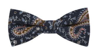 bow tie & pocket square, vintage, paisley